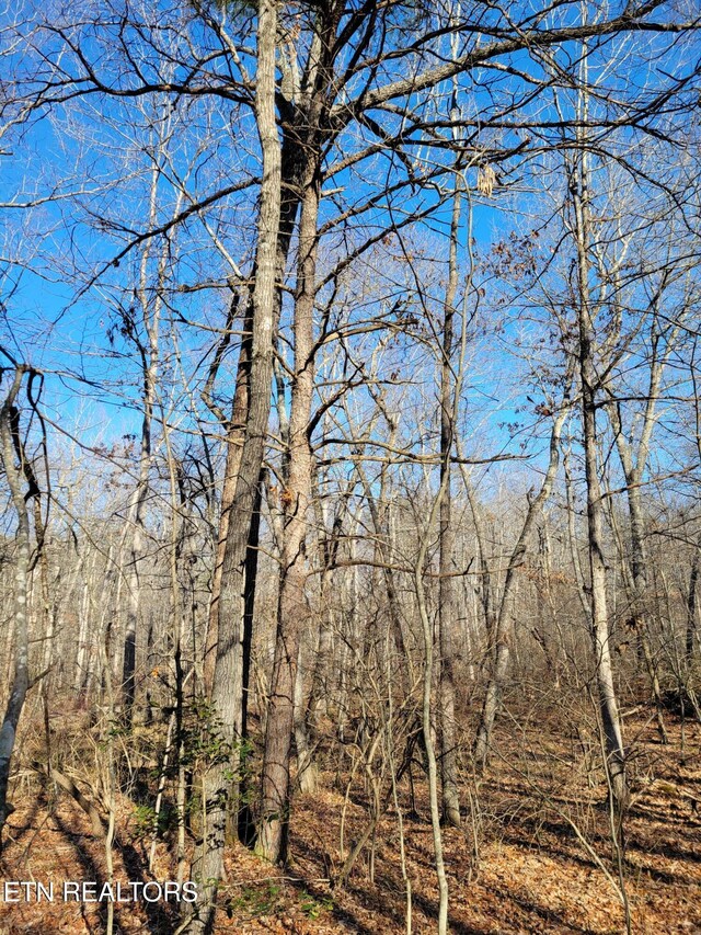 11 Rhonda Rd, Monterey, TN 38574