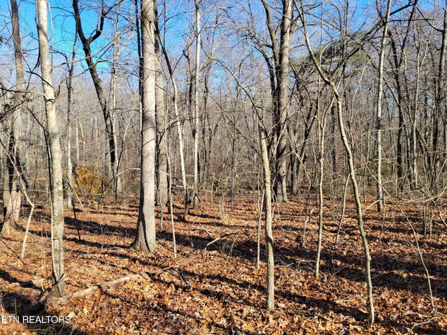 11 Rhonda Rd, Monterey, TN 38574