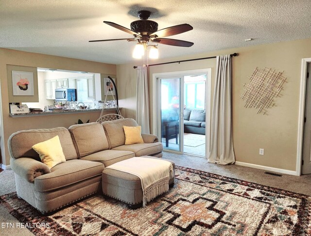 8405 Graceland Rd, Corryton, TN 37721 - photo 18
