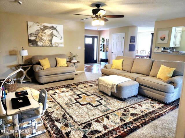 8405 Graceland Rd, Corryton, TN 37721 - photo 15