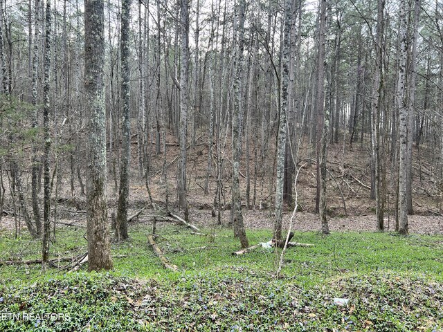 Butler Rd, Decatur, TN 37322 - photo 1