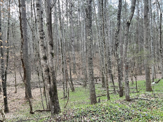 Butler Rd, Decatur, TN 37322 - photo 2