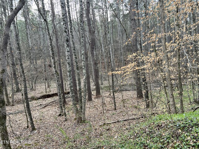 Butler Rd, Decatur, TN 37322 - photo 4