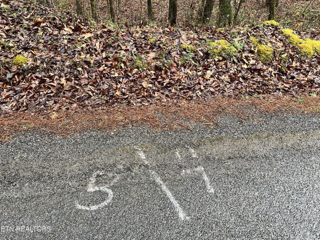 Butler Rd, Decatur, TN 37322 - photo 5