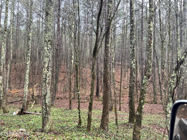 Butler Rd, Decatur, TN 37322 - photo 6