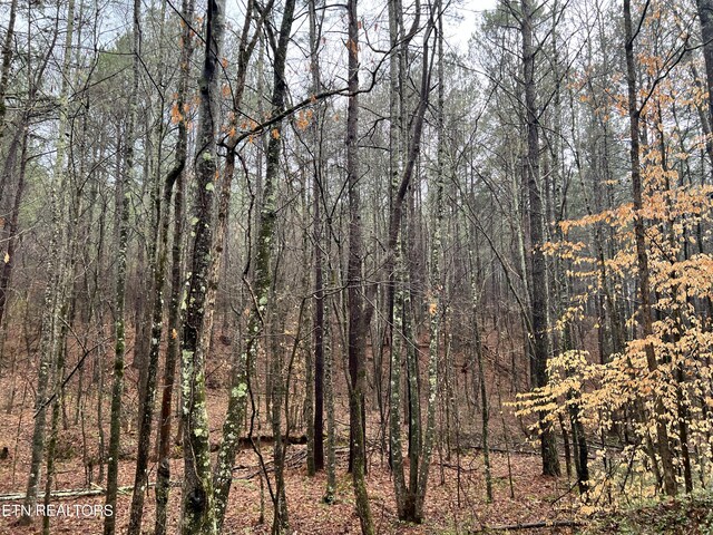 Butler Rd, Decatur, TN 37322 - photo 7