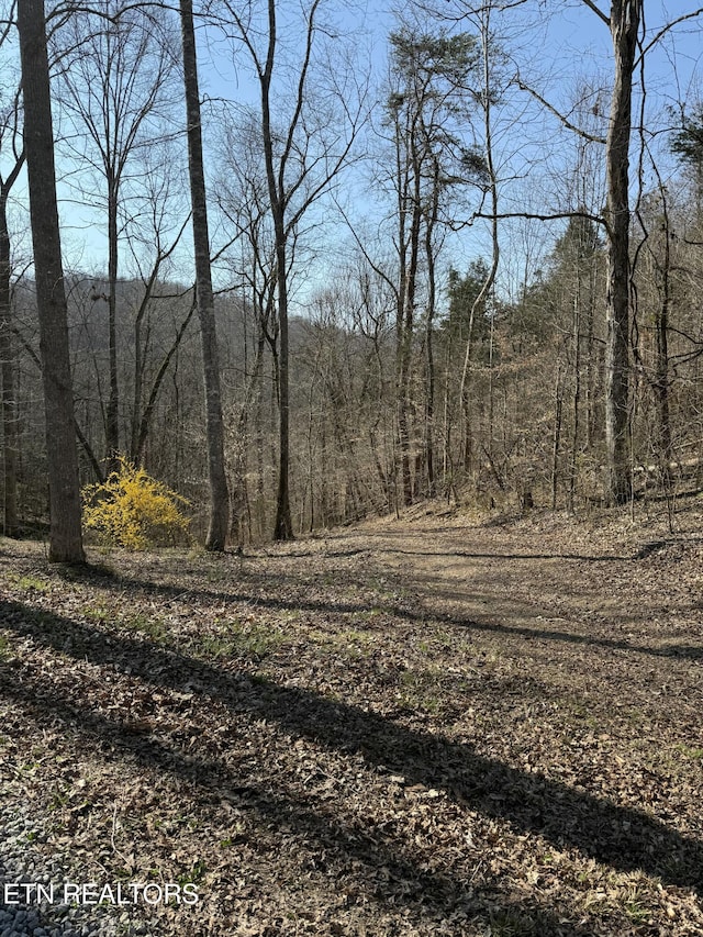 view of nature featuring a forest view