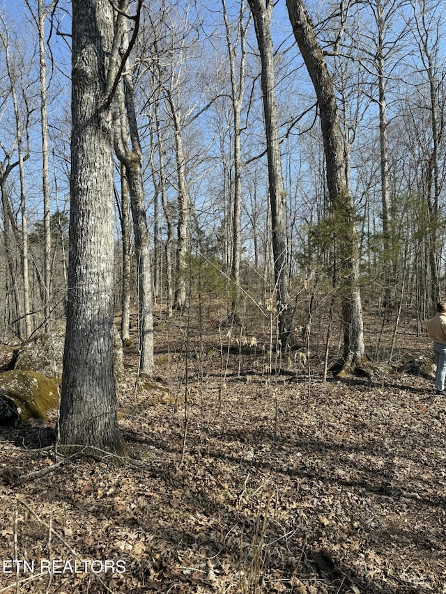 view of nature