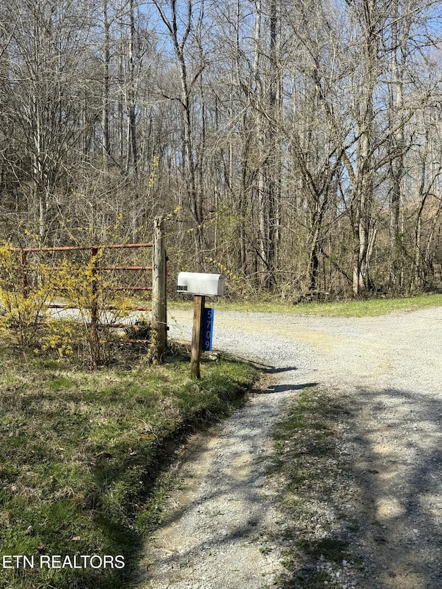 view of road