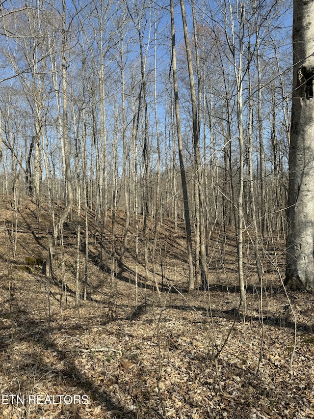 view of nature