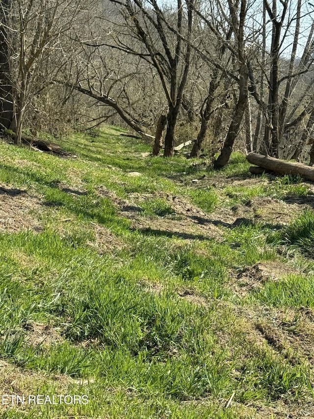 view of nature