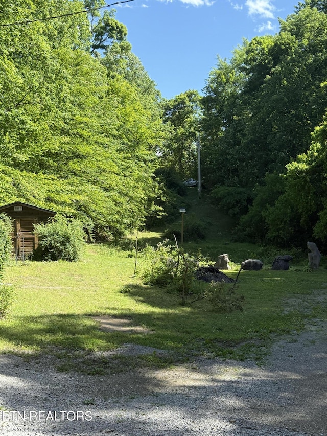 5709 Alder Rd, Kyles Ford, TN 37765 - photo 6