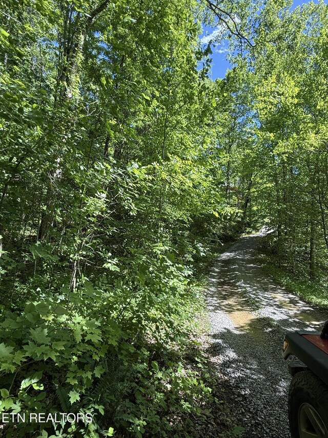 5709 Alder Rd, Kyles Ford, TN 37765 - photo 56