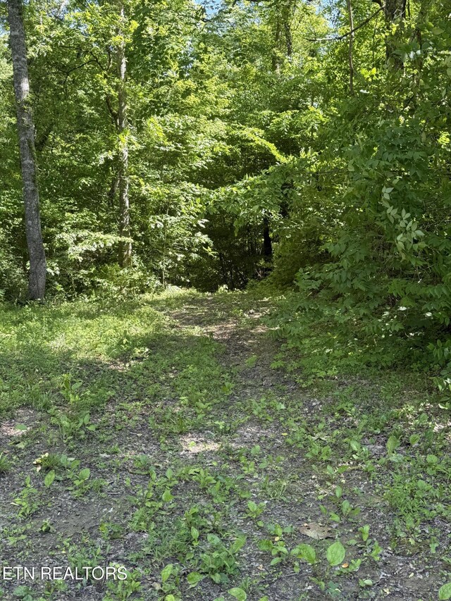 5709 Alder Rd, Kyles Ford, TN 37765 - photo 57