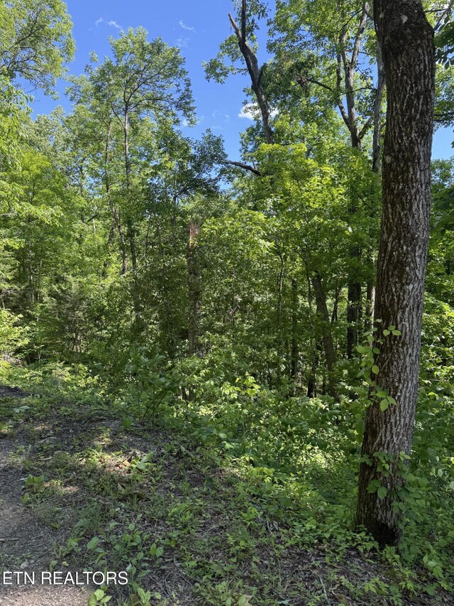 5709 Alder Rd, Kyles Ford, TN 37765 - photo 59