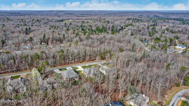 bird's eye view