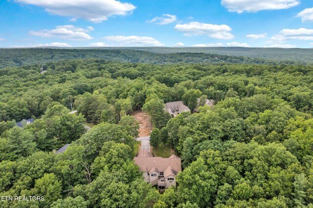 25 Bacham Ln, Crossville, TN 38558 - photo 29