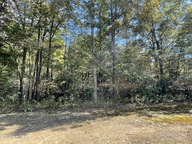 130 Stillington Loop, Crossville, TN 38558 - photo 2