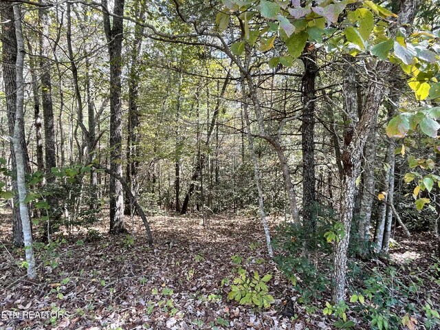 130 Stillington Loop, Crossville, TN 38558 - photo 4