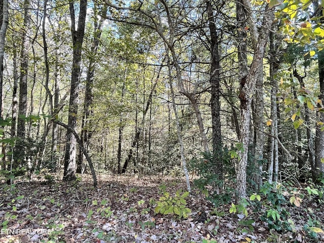 130 Stillington Loop, Crossville, TN 38558 - photo 5