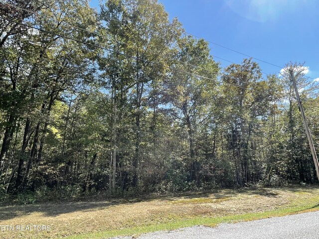 130 Stillington Loop, Crossville, TN 38558 - photo 6