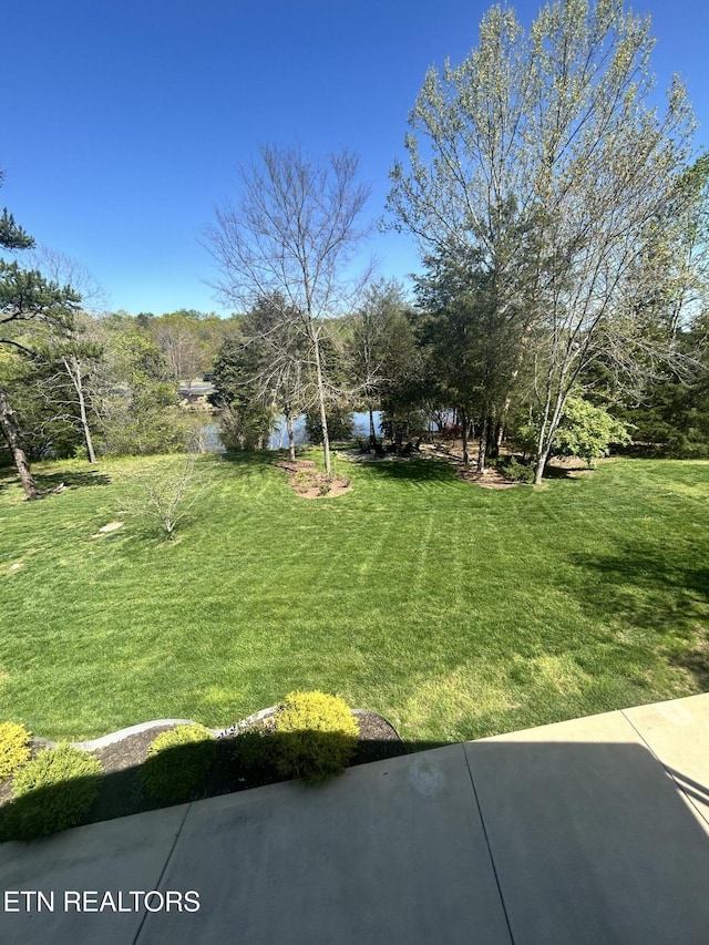 57 Riverview Dr, Oak Ridge, TN 37830 - view of yard