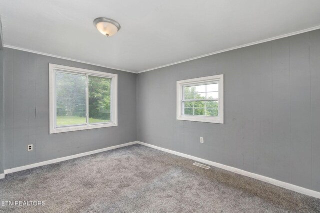 869 Poplar Grove Rd, Harrogate, TN 37752 - carpeted spare room with ornamental molding and baseboards