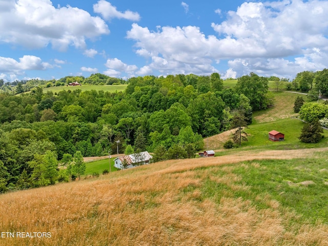 869 Poplar Grove Rd, Harrogate, TN 37752 - overview of rural landscape featuring a heavily wooded area