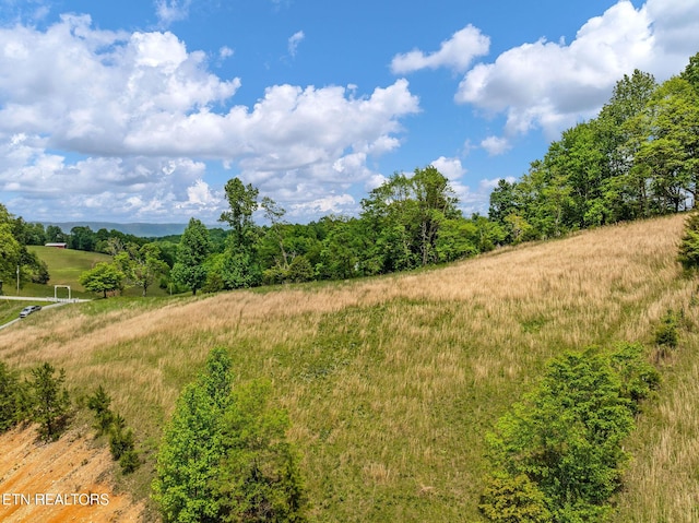 869 Poplar Grove Rd, Harrogate, TN 37752 - view of nature with rural landscape
