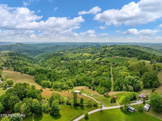 869 Poplar Grove Rd, Harrogate, TN 37752 - drone / aerial view of a forest
