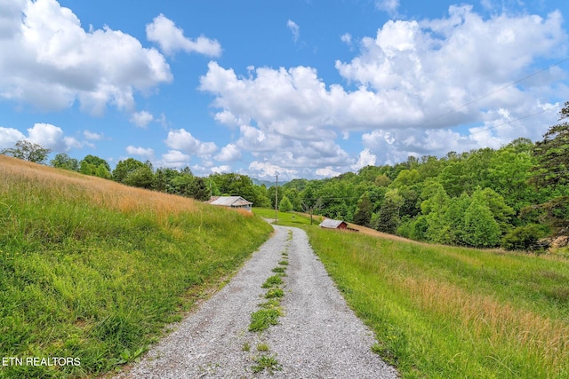 869 Poplar Grove Rd, Harrogate, TN 37752 - view of dirt / gravel road featuring a view of trees and a view of rural / pastoral area