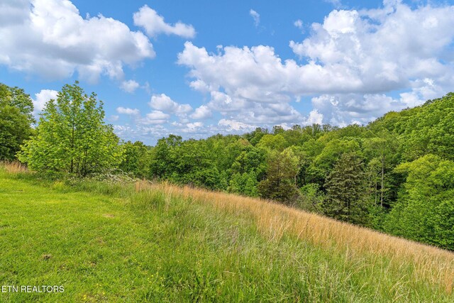 869 Poplar Grove Rd, Harrogate, TN 37752 - view of wooded area