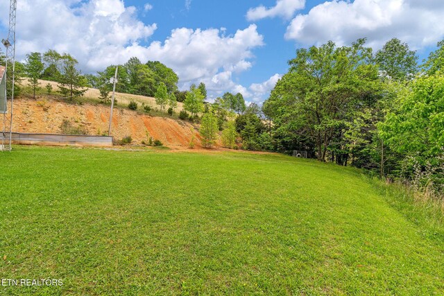 869 Poplar Grove Rd, Harrogate, TN 37752 - view of green lawn