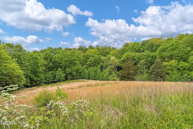 869 Poplar Grove Rd, Harrogate, TN 37752 - view of wooded area