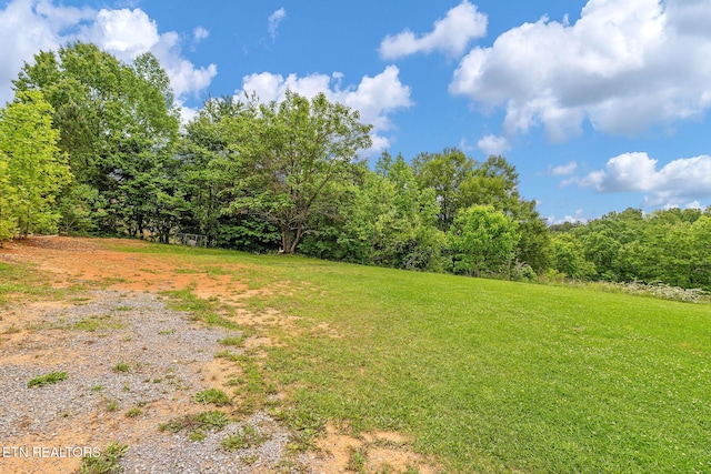 869 Poplar Grove Rd, Harrogate, TN 37752 - view of grassy yard with a forest view
