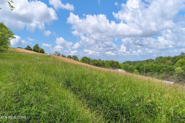 869 Poplar Grove Rd, Harrogate, TN 37752 - view of undeveloped land with rural landscape