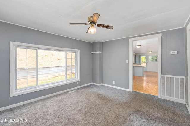 869 Poplar Grove Rd, Harrogate, TN 37752 - empty room with carpet flooring, a ceiling fan, and baseboards