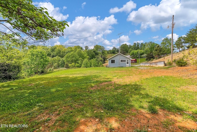 869 Poplar Grove Rd, Harrogate, TN 37752 - view of grassy yard