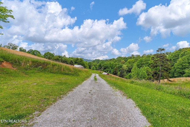 869 Poplar Grove Rd, Harrogate, TN 37752 - view of dirt / gravel road featuring a wooded view and a view of countryside