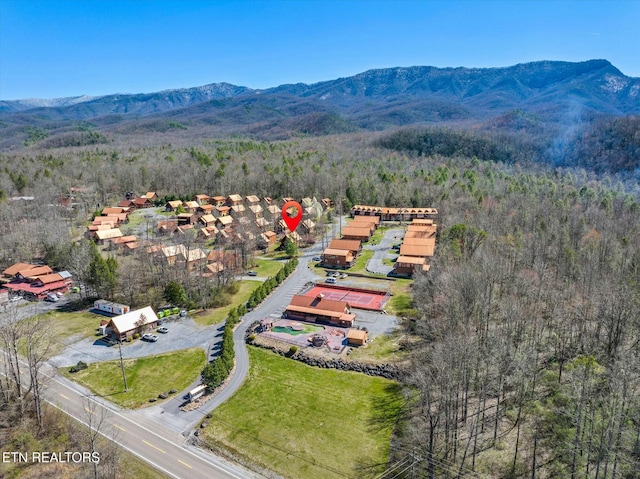 birds eye view of property featuring a forest view and a mountain view