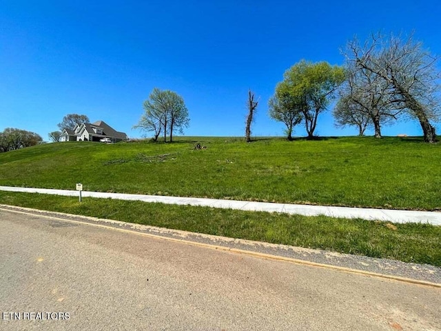 2251 Windswept Way, Morristown, TN 37814 - photo 4