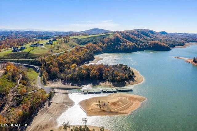 2251 Windswept Way, Morristown, TN 37814 - photo 20