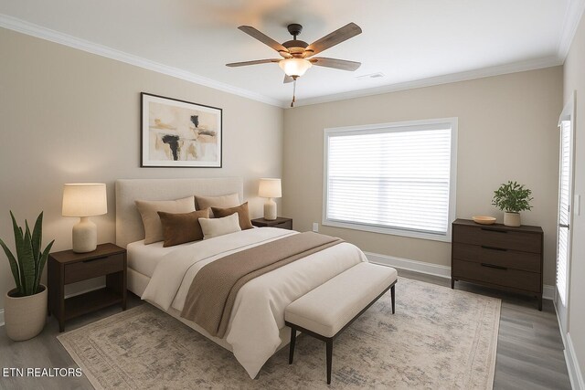 10106 Songbird Ln, Knoxville, TN 37931 - photo 11