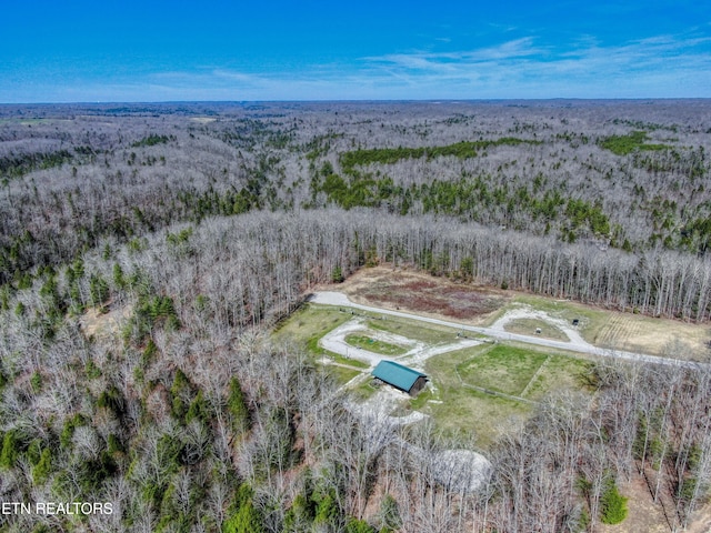 145 Horse Haven Rd, Allardt, TN 38504 - birds eye view of property with a view of trees and a rural view