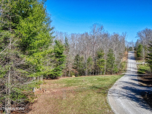 145 Horse Haven Rd, Allardt, TN 38504 - view of road with a forest view