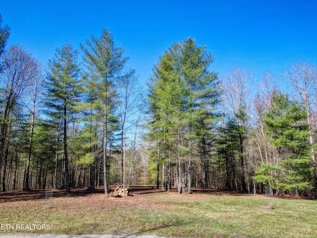 145 Horse Haven Rd, Allardt, TN 38504 - view of yard with a forest view