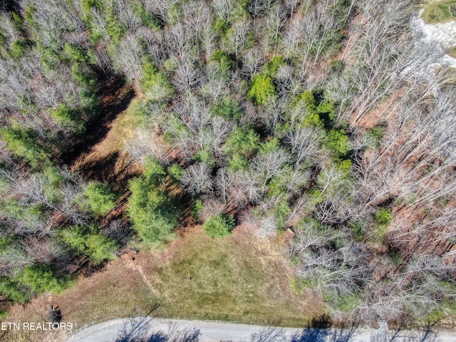 145 Horse Haven Rd, Allardt, TN 38504 - drone / aerial view