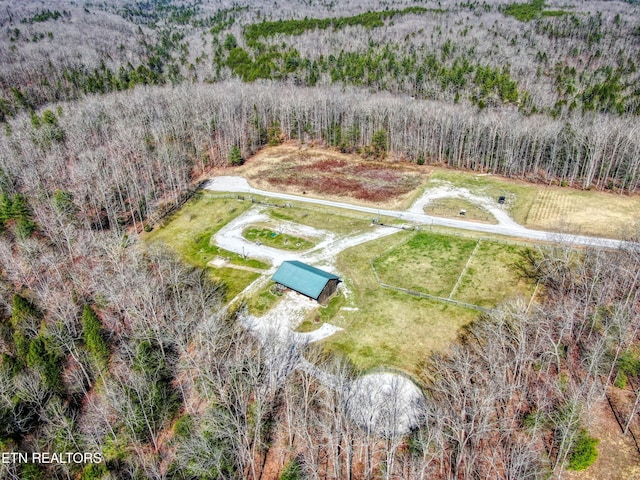 145 Horse Haven Rd, Allardt, TN 38504 - bird's eye view with a forest view
