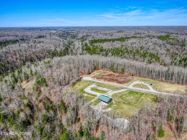 145 Horse Haven Rd, Allardt, TN 38504 - bird's eye view with a rural view and a forest view