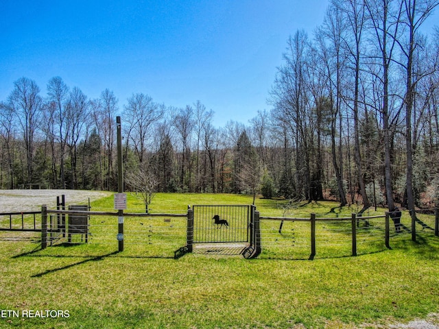 145 Horse Haven Rd, Allardt, TN 38504 - view of yard with fence and a wooded view